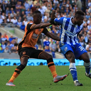 Brighton & Hove Albion vs. Hull City: Kazenga LuaLua Defends Against Moses Odubajo in Sky Bet Championship Showdown (September 12, 2015)