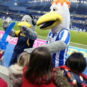 2012-13 Brighton & Hove Albion vs Hull City Home Game Print 2012-13 Brighton & Hove Albion vs Hull City Home Game Print