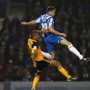 2012-13 Brighton & Hove Albion vs Hull City Home Game Print 2012-13 Brighton & Hove Albion vs Hull City Home Game Print