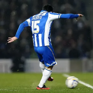 2012-13 Brighton & Hove Albion vs Hull City Print 2012-13 Brighton & Hove Albion vs Hull City Print