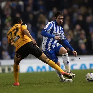 2012-13 Brighton & Hove Albion vs Hull City Print 2012-13 Brighton & Hove Albion vs Hull City Print