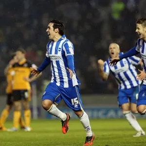 2012-13 Brighton & Hove Albion vs. Hull City Print 2012-13 Brighton & Hove Albion vs. Hull City Print