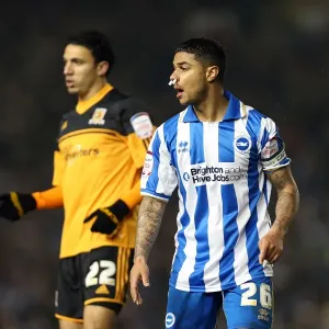 Brighton & Hove Albion vs. Hull City 2012-13 Print Brighton & Hove Albion vs. Hull City 2012-13 Print
