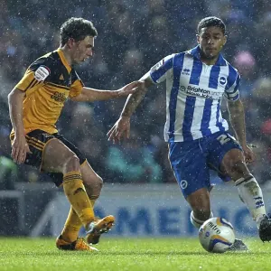 Brighton & Hove Albion vs. Hull City Print (2012-13 Matchday Programme) Brighton & Hove Albion vs. Hull City Print (2012-13 Matchday Programme)