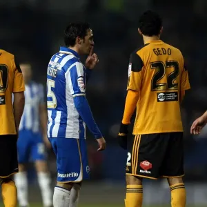 2012-13 Brighton & Hove Albion vs Hull City Print 2012-13 Brighton & Hove Albion vs Hull City Print
