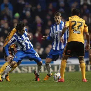 Brighton & Hove Albion vs. Hull City Print (09-02-2013) Brighton & Hove Albion vs. Hull City Print (09-02-2013)