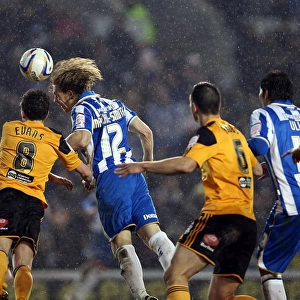 Brighton & Hove Albion vs. Hull City: February 9, 2013 - A Home Season Clash