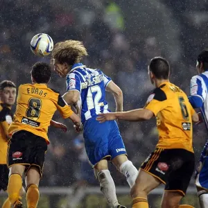 Brighton & Hove Albion vs. Hull City Print: 09-02-2013 Home Match Brighton & Hove Albion vs. Hull City Print: 09-02-2013 Home Match