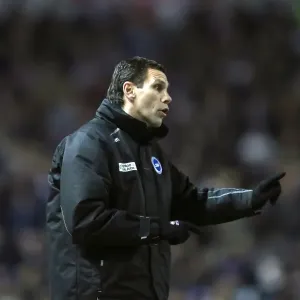 Brighton & Hove Albion vs. Hull City Print - 09-02-2013 Home Match Brighton & Hove Albion vs. Hull City Print - 09-02-2013 Home Match