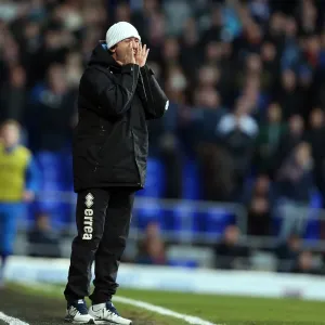 Brighton & Hove Albion vs Ipswich Town: 1-1 Stalemate (Away Game - 2012-13 Season)
