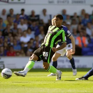 Brighton & Hove Albion vs Ipswich Town: 2011-12 Season Away Game