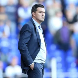 Brighton & Hove Albion vs. Ipswich Town: 2013-14 Away Game Brighton & Hove Albion vs. Ipswich Town: 2013-14 Away Game