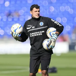 Brighton & Hove Albion vs. Ipswich Town: 2013-14 Away Game Brighton & Hove Albion vs. Ipswich Town: 2013-14 Away Game