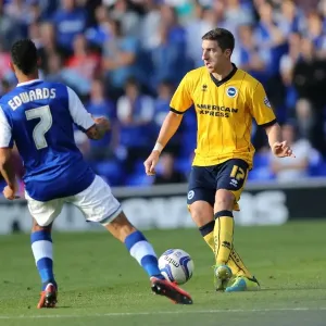 Brighton & Hove Albion vs. Ipswich Town: 2013-14 Away Game Brighton & Hove Albion vs. Ipswich Town: 2013-14 Away Game