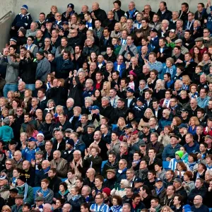 Brighton & Hove Albion vs Ipswich Town (25-12-2012): A Glimpse into the 2011-12 Home Season Brighton & Hove Albion vs Ipswich Town (25-12-2012): A Glimpse into the 2011-12 Home Season
