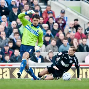Brighton & Hove Albion vs Ipswich Town (25-12-2012): A Nostalgic Look Back at the 2011-12 Home Season Brighton & Hove Albion vs Ipswich Town (25-12-2012): A Nostalgic Look Back at the 2011-12 Home Season