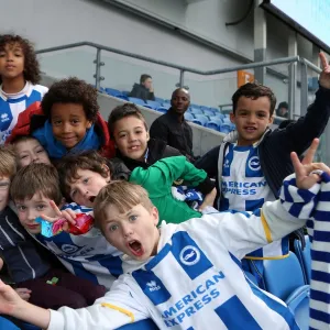 Brighton & Hove Albion vs Ipswich Town (2013-14 Season: Home Game)