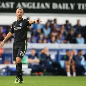 Brighton and Hove Albion vs Ipswich Town: Sky Bet Championship Print (27 SEP 16)