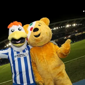Brighton & Hove Albion vs. Leeds United (02-11-2012): A Look Back at the 2012-13 Home Season Game Brighton & Hove Albion vs. Leeds United (02-11-2012): A Look Back at the 2012-13 Home Season Game