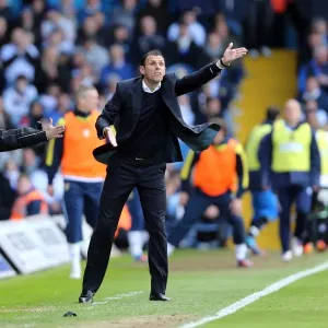 Brighton & Hove Albion vs. Leeds United: 2012-13 Away Game Brighton & Hove Albion vs. Leeds United: 2012-13 Away Game