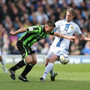 Brighton & Hove Albion vs. Leeds United: 2012-13 Away Game Brighton & Hove Albion vs. Leeds United: 2012-13 Away Game