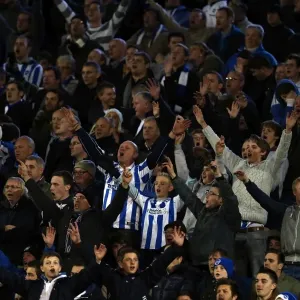 Brighton & Hove Albion vs Leeds United (2012-13 Home Game) Brighton & Hove Albion vs Leeds United (2012-13 Home Game)