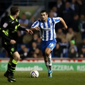 Brighton & Hove Albion vs Leeds United (2012-13): A Nostalgic Look Back at the Home Game Brighton & Hove Albion vs Leeds United (2012-13): A Nostalgic Look Back at the Home Game