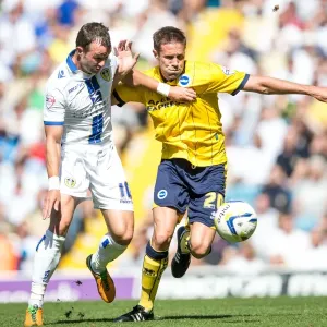 Brighton & Hove Albion vs. Leeds United: 2013-14 Away Game Brighton & Hove Albion vs. Leeds United: 2013-14 Away Game