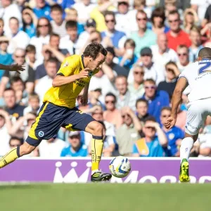Brighton & Hove Albion vs. Leeds United: 2013-14 Away Game Brighton & Hove Albion vs. Leeds United: 2013-14 Away Game