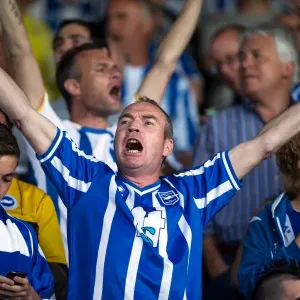 Brighton & Hove Albion vs. Leeds United: 2013-14 Season Away Game (03-08-2013) Brighton & Hove Albion vs. Leeds United: 2013-14 Season Away Game (03-08-2013)