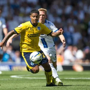Brighton & Hove Albion vs. Leeds United: Away Game (August 2013) Brighton & Hove Albion vs. Leeds United: Away Game (August 2013)