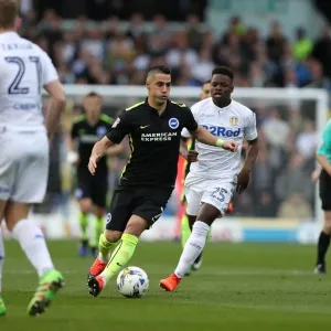 Brighton and Hove Albion vs. Leeds United: Championship Clash at Elland Road (18MAR17) Brighton and Hove Albion vs. Leeds United: Championship Clash at Elland Road (18MAR17)