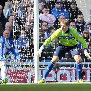 Brighton & Hove Albion vs. Leicester City (06-04-2013): A Glimpse into the 2012-13 Home Season Brighton & Hove Albion vs. Leicester City (06-04-2013): A Glimpse into the 2012-13 Home Season