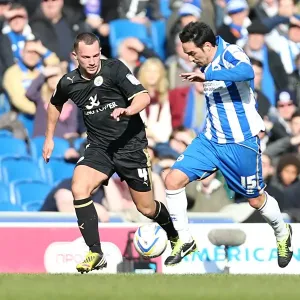 Brighton & Hove Albion vs. Leicester City (06-04-2013): A Glimpse into the 2012-13 Home Season Brighton & Hove Albion vs. Leicester City (06-04-2013): A Glimpse into the 2012-13 Home Season