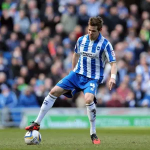 Brighton & Hove Albion vs. Leicester City (06-04-2013): A Glimpse into the 2012-13 Home Season Brighton & Hove Albion vs. Leicester City (06-04-2013): A Glimpse into the 2012-13 Home Season