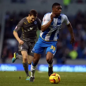 Brighton & Hove Albion vs. Leicester City (07-12-2013) - A Home Game from the 2013-14 Season Brighton & Hove Albion vs. Leicester City (07-12-2013) - A Home Game from the 2013-14 Season