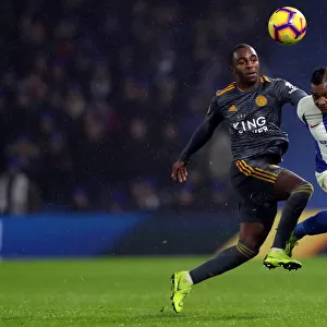 Brighton and Hove Albion vs. Leicester City: A Premier League Showdown at American Express Community Stadium (November 24, 2018)