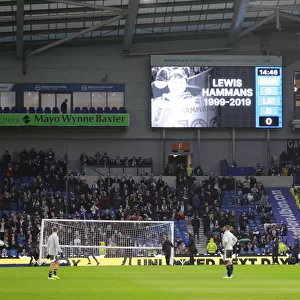Brighton and Hove Albion vs Leicester City: Premier League Showdown at American Express Community Stadium (November 23, 2019)