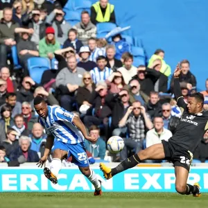 Brighton & Hove Albion vs. Leicester City (2012-13): A Home Game Recap - 6th April 2013 Brighton & Hove Albion vs. Leicester City (2012-13): A Home Game Recap - 6th April 2013
