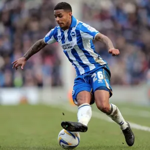Brighton & Hove Albion vs. Leicester City (2012-13): A Past Season's Home Game Brighton & Hove Albion vs. Leicester City (2012-13): A Past Season's Home Game