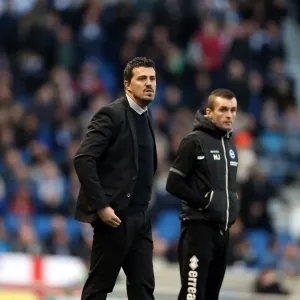 Brighton & Hove Albion vs Leicester City (2013-14): Home Game Highlights - 7 December 2013 Brighton & Hove Albion vs Leicester City (2013-14): Home Game Highlights - 7 December 2013