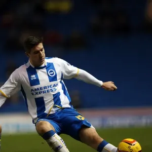 Brighton & Hove Albion vs. Leicester City (2013-14 Season): A Home Game Brighton & Hove Albion vs. Leicester City (2013-14 Season): A Home Game