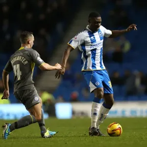 Brighton & Hove Albion vs. Leicester City: Home Game, 2013-14 Season (7-12-2013) Brighton & Hove Albion vs. Leicester City: Home Game, 2013-14 Season (7-12-2013)