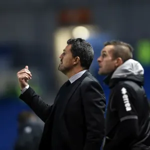 Brighton & Hove Albion vs Leicester City: Home Game - December 7, 2013 Brighton & Hove Albion vs Leicester City: Home Game - December 7, 2013