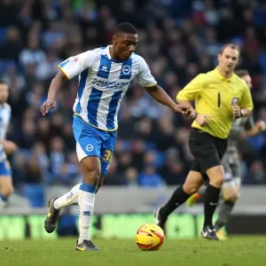 Brighton & Hove Albion vs. Leicester City: Home Game - December 7, 2013 Brighton & Hove Albion vs. Leicester City: Home Game - December 7, 2013