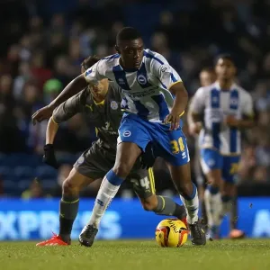 Brighton & Hove Albion vs. Leicester City: Home Game - December 7, 2013 (Season 2013-14) Brighton & Hove Albion vs. Leicester City: Home Game - December 7, 2013 (Season 2013-14)
