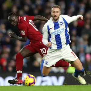Brighton and Hove Albion vs Liverpool: Premier League Showdown at American Express Community Stadium (January 9, 2019) Brighton and Hove Albion vs Liverpool: Premier League Showdown at American Express Community Stadium (January 9, 2019)