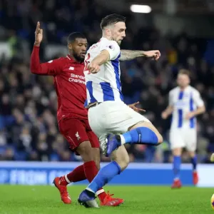 Brighton and Hove Albion vs Liverpool: Premier League Showdown at American Express Community Stadium (January 9, 2019) Brighton and Hove Albion vs Liverpool: Premier League Showdown at American Express Community Stadium (January 9, 2019)