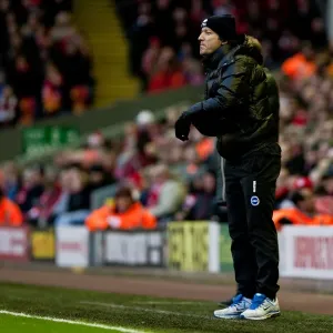 Brighton & Hove Albion vs. Liverpool (FA Cup, 2011-12): Away Game Brighton & Hove Albion vs. Liverpool (FA Cup, 2011-12): Away Game