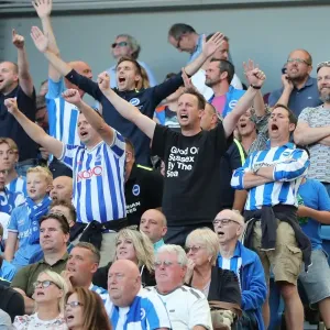 Brighton and Hove Albion vs Manchester City: Premier League Showdown at American Express Community Stadium (August 12, 2017) Brighton and Hove Albion vs Manchester City: Premier League Showdown at American Express Community Stadium (August 12, 2017)